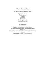 Konspekts 'Glezniecība: veidi, tehnikas un žanri', 2.