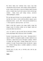 Referāts 'Korsikas valdzinājums', 17.