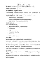 Konspekts 'Pedagoģiskā darba projekts', 2.