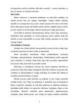 Konspekts 'Pedagoģiskā darba projekts', 3.