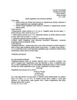 Paraugs 'Zemes magnētiskā lauka noteikšana', 1.