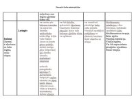 Konspekts 'Klīniskā pieeja elpošanas nodrošināšanā', 2.