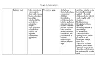 Konspekts 'Klīniskā pieeja elpošanas nodrošināšanā', 6.