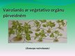 Prezentācija 'Organismu vairošanās veidi', 9.