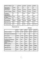 Biznesa plāns 'SIA ”Ninel”', 6.