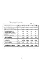 Biznesa plāns 'SIA ”Ninel”', 9.