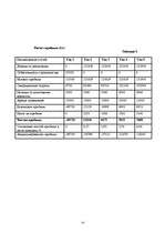 Biznesa plāns 'SIA ”Ninel”', 14.