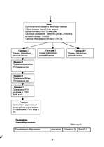 Biznesa plāns 'SIA ”Ninel”', 19.