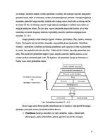 Referāts 'Divu personības teoriju salīdzinājums', 4.