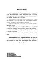 Referāts 'Popkultūra, Lady Gaga', 3.