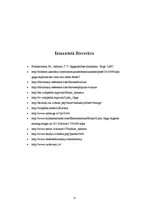 Referāts 'Popkultūra, Lady Gaga', 12.