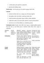 Prakses atskaite 'Integrētā prakse sākumskolā', 5.