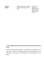 Prakses atskaite 'Integrētā prakse sākumskolā', 8.