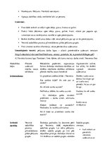 Prakses atskaite 'Integrētā prakse sākumskolā', 15.