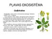 Prezentācija 'Augi dažādās ekosistēmās', 6.