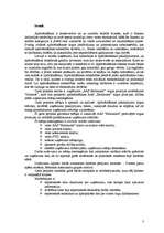 Referāts 'AAS "Baltikums" tirgus pozīcijas novērtējums', 3.