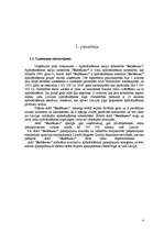 Referāts 'AAS "Baltikums" tirgus pozīcijas novērtējums', 4.