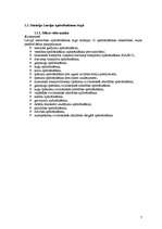 Referāts 'AAS "Baltikums" tirgus pozīcijas novērtējums', 7.