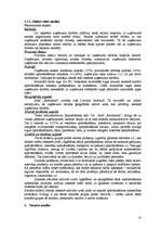 Referāts 'AAS "Baltikums" tirgus pozīcijas novērtējums', 10.