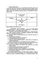 Referāts 'AAS "Baltikums" tirgus pozīcijas novērtējums', 11.