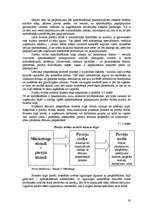 Referāts 'AAS "Baltikums" tirgus pozīcijas novērtējums', 20.