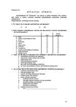 Referāts 'AAS "Baltikums" tirgus pozīcijas novērtējums', 29.