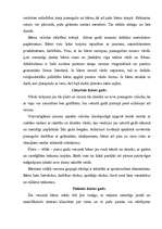 Referāts 'Bērnu valoda', 5.