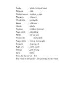 Referāts 'Bērnu valoda', 7.