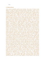 Konspekts 'Aleksandrs Grīns "Dvēseļu putenis"', 3.