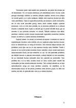 Referāts 'Drošības koncepts un globalizācija', 13.