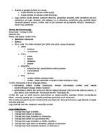 Konspekts 'Drāmas teorija', 3.