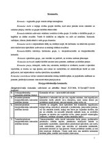 Konspekts 'Starpprofesionāļu komanda darbam ar sociālo gadījumu', 2.