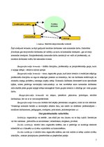 Konspekts 'Starpprofesionāļu komanda darbam ar sociālo gadījumu', 3.