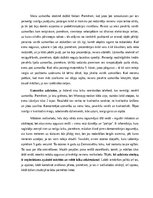 Eseja 'Savas uzmanības, atmiņas un domāšanas procesu, intelekta  analīze un novērtēšana', 3.