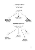 Biznesa plāns 'Biznesa plāns SIA "Maikers"', 6.