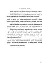 Biznesa plāns 'Biznesa plāns SIA "Maikers"', 7.