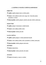 Biznesa plāns 'Biznesa plāns SIA "Maikers"', 8.