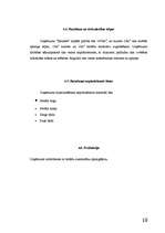 Biznesa plāns 'Biznesa plāns SIA "Maikers"', 10.