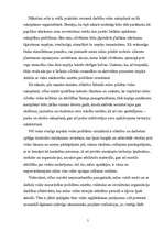 Konspekts 'Vide un pedagoģija', 4.