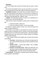 Konspekts 'Interakcija - cilvēku mijiedarbība', 2.