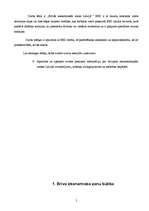 Referāts 'Brīvās ekonomiskās zonas Latvijā', 2.