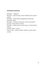 Referāts 'Anglicismi', 16.