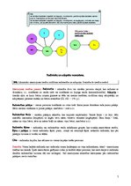 Konspekts 'Mantojuma tiesības', 7.