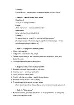 Paraugs 'Vecmeitu ballītes scenārijs: jautrība, draudzība un neaizmirstami mirkļi”', 2.