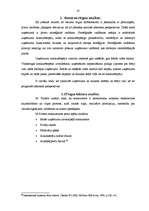 Diplomdarbs 'Degvielas tirgus attīstības iespējas Latvijā', 20.