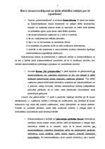 Referāts 'Komercnoslēpums', 2.