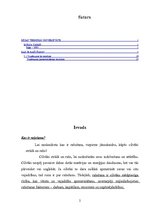 Referāts 'Ražošanas uzņēmuma struktūras pilnveidošana produkcijas izlaides organizēšana', 2.