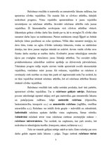 Referāts 'Ražošanas uzņēmuma struktūras pilnveidošana produkcijas izlaides organizēšana', 3.