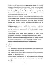 Referāts 'Ražošanas uzņēmuma struktūras pilnveidošana produkcijas izlaides organizēšana', 6.