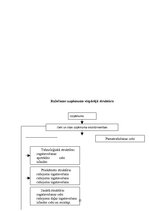 Referāts 'Ražošanas uzņēmuma struktūras pilnveidošana produkcijas izlaides organizēšana', 15.